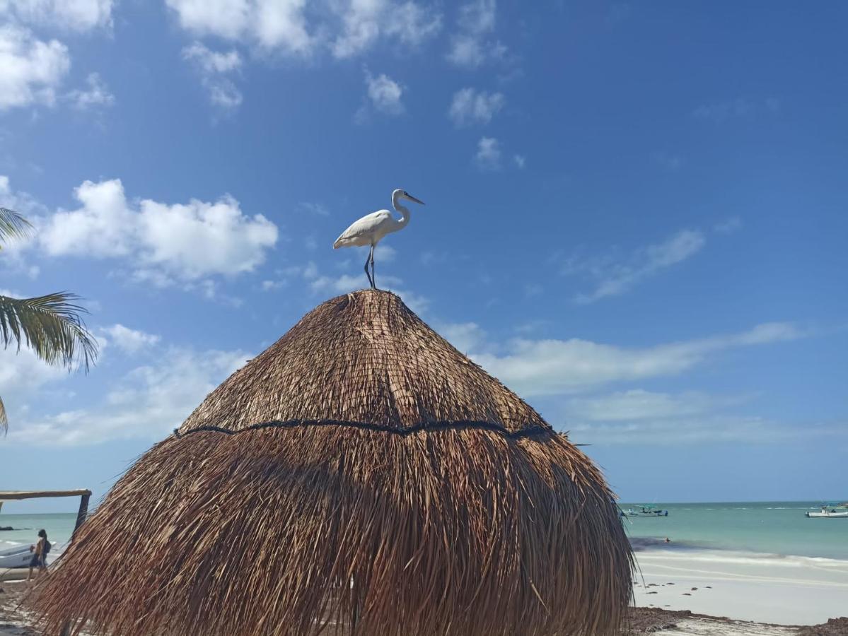 Hostel Utopia Isla Holbox Εξωτερικό φωτογραφία